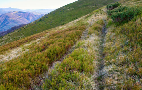 Preview: Carpathian Mountains (Ukraine) Autumn Landscape With Path On Mountainside.