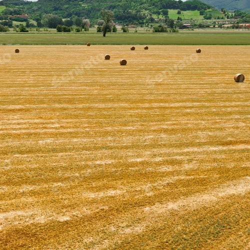Preview: Landscape With Many Hay Bales In Italy