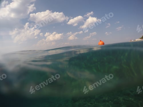 Preview: Underwater Image Of Adriatic Sea In Croatia