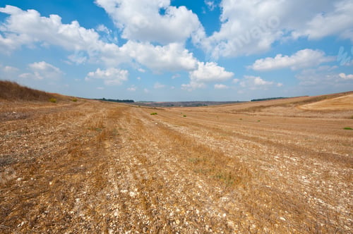 Preview: Poor Stony Soil After The Harvest In Israel