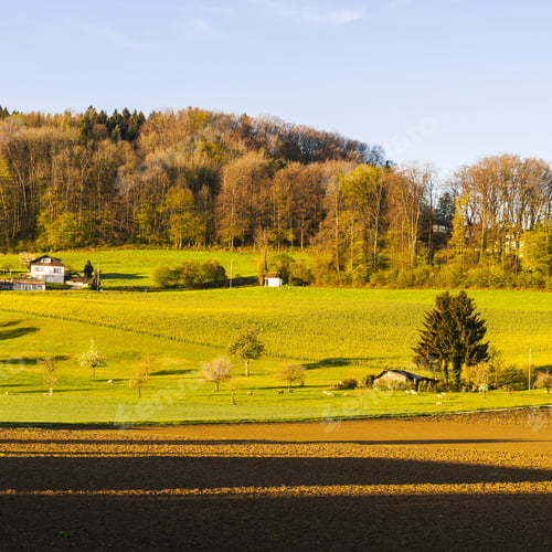 Preview: Swiss Village Surrounded By Forests And Plowed Fields Early In The Morning. Agriculture In