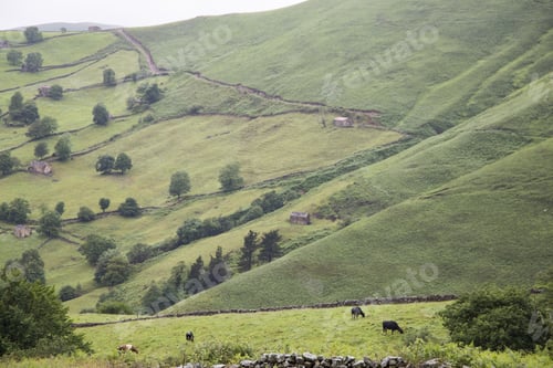 Preview: Valles Pasiegos Cantabria Landscape Wiht Green Field Spain