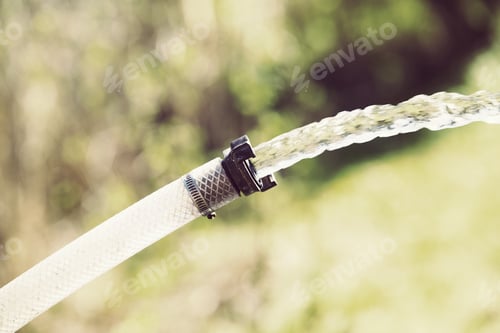 Preview: Water Hose Spraying Fresh Water For Flowers In The Garden. The Hose Is Very Thick. Image Has A
