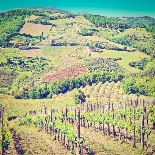 Preview: Hill Of Tuscany With Vineyard In The Chianti Region, Instagram Effect