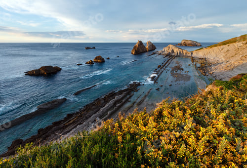 Preview: Blossoming Arnia Beach (Spain). Atlantic Ocean Evening Coastline Landscape.