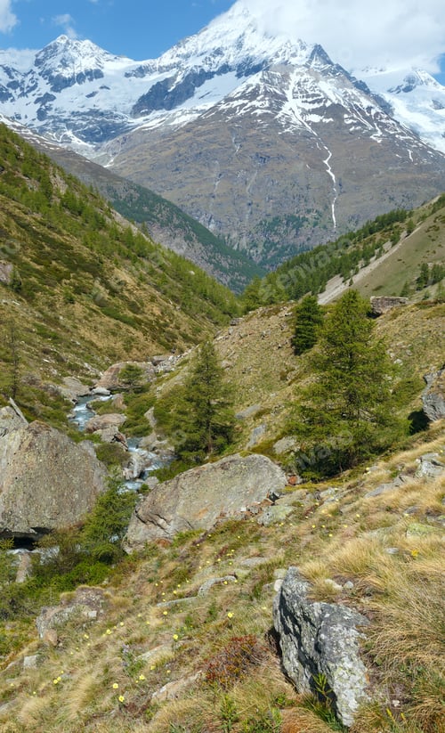Preview: Summer Alps Mountain View From Plateau With Fir Trees On Slope.(Switzerland, Near Zermatt)