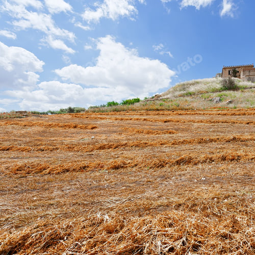 Preview: Mown Field On The Hill In Sicily, Italy