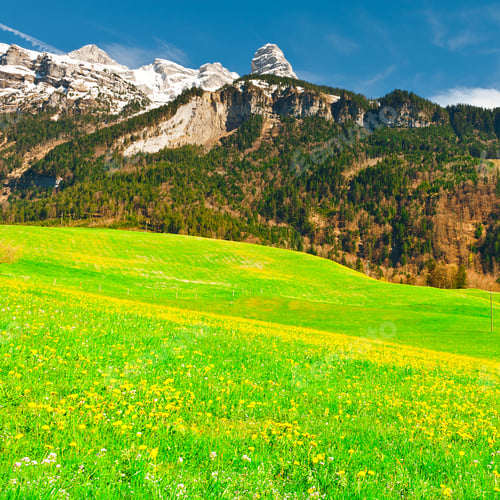 Preview: Alpine Pasture Framed By Mountains In Switzerland