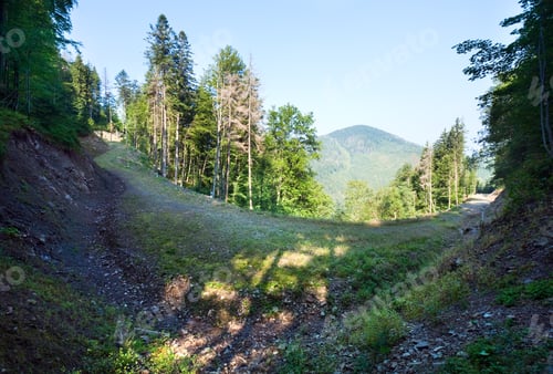 Preview: Summer Misty Mountain Landscape With Forest On Slope And Country Road.