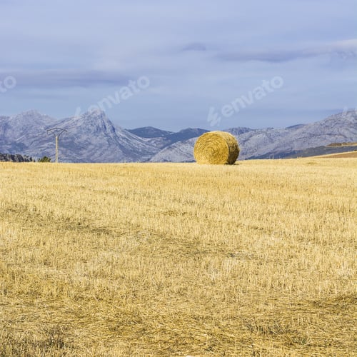 Preview: Hay Bale On The Field In The Cantabrian Mountain, Spain Early Morning. Spanish Landscape At