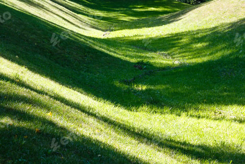 Preview: Perfect Green Grass Lawn On Landscape Designed Summer Park Hollow. Striped Shadows On Curved Meadow