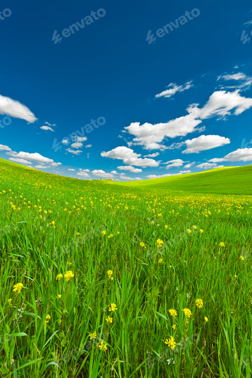 Preview: Farmhouse And Green Sloping Meadows Of Tuscany