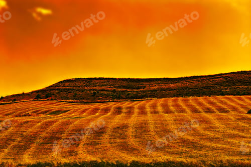 Preview: Mown Field On The Hill In Sicily At Sunset