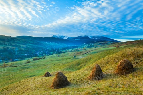 Preview: Misty Early Daybreak In Autumn Carpathian Mountain, Ukraine (Goverla And Petros Mount In Far)