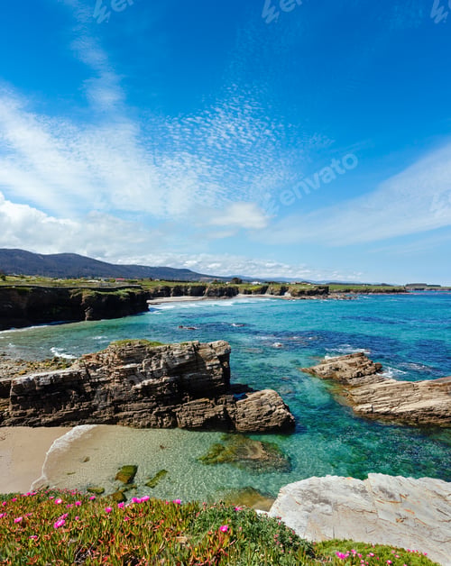 Preview: Summer Blossoming Atlantic Coastline Landscape With Pink Flowers And Three Beaches (Spain)