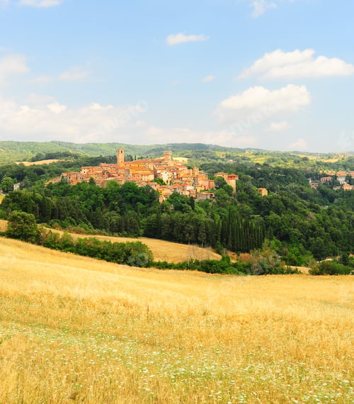 Preview: Typical Medieval Tuscan City Surrounded By Forest