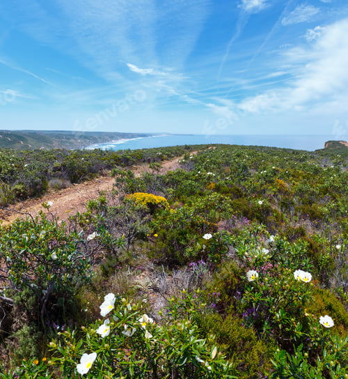 Preview: Summer Blossoming Atlantic Coast View, Algarve West, Costa Vicentina, Portugal. Two Shots Stitch