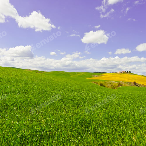 Preview: Green Sloping Meadows Of Tuscany