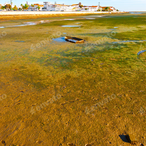 Preview: Swamp On The Shore Of Atlantic Ocean In Portugal Near The City Of Faro