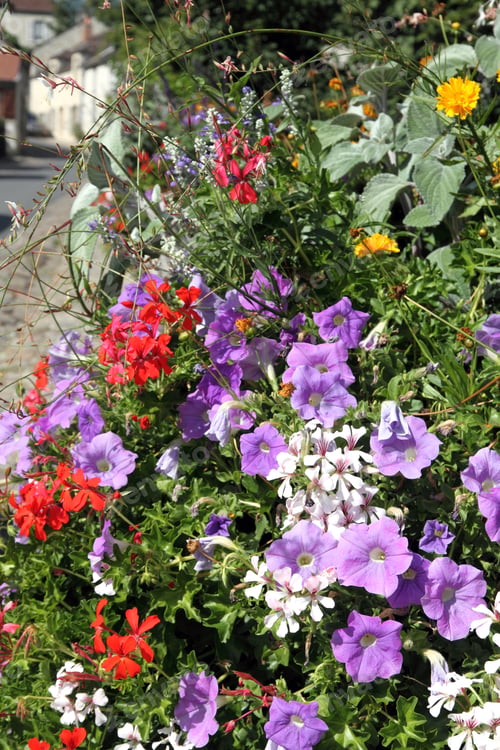 Preview: France, Paris Region, Seine Et Marne, Provins Medieval City, Floral Decoration