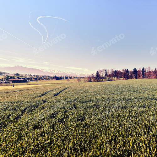 Preview: Small Swiss Town Surrounded By Meadows On The Background Of Snow-Capped Alps At Sunset, Vintage