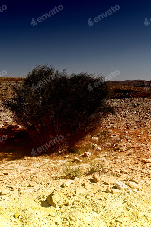 Preview: Rocky Hills Of The Negev Desert In Israel Early In The Morning. Breathtaking Landscape At Sunrise