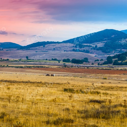 Preview: Horses Grazing On A Meadow Of Europe Peaks In Spain Early Morning. Spanish Landscape At Sunrise