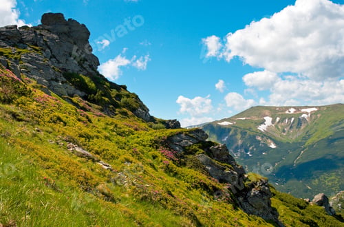 Preview: Pink Rhododendron Flowers On Summer Mountainside