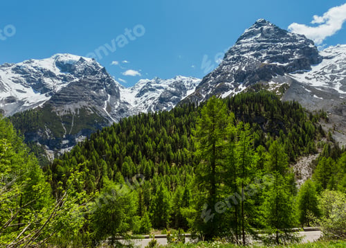 Preview: Summer View From Stelvio Pass Alpine Road With Fir Forest And Snow On Alps Mountain Tops, Italy