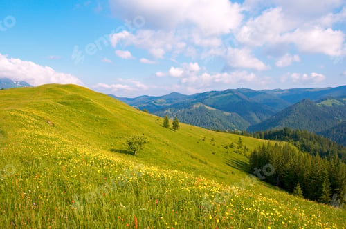 Preview: Summer Blossoming Green Mountainside (Carpathian Mt-S, Ukraine).