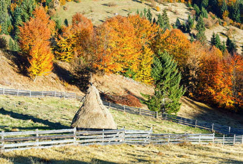 Preview: Autumn Mountain Country Landscape With Haystack On Slope (Carpathian, Ukraine).