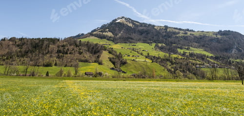 Preview: Agriculture In Switzerland, Flowering Meadow And Pastures. Swiss Village Surrounded By Fields Of