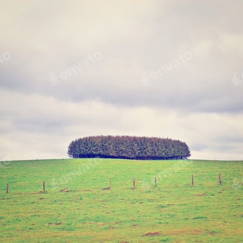 Preview: Green Landscape Of Belgium, Instagram Effect