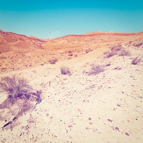 Preview: Rocky Hills Of The Negev Desert In Israel, Instagram Effect
