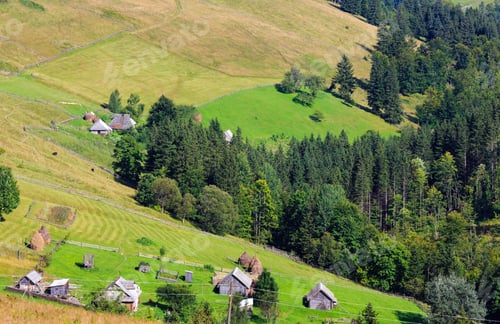 Preview: Mountain Village. Summer Country Landscape With Fir Forest On Slope (Carpathian, Ukraine