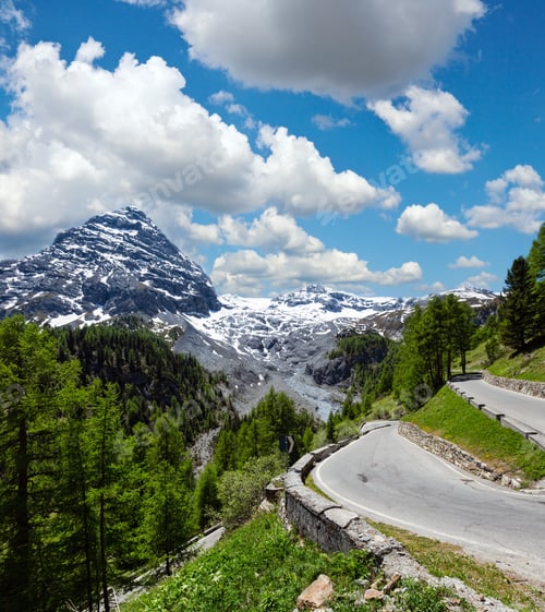 Preview: Summer Stelvio Pass With Fir Forest And Snow On Mountain Top (Italy). Two Shots Stitch Image.
