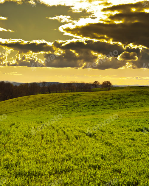 Preview: Green Sloping Meadows Of Tuscany, Sunset