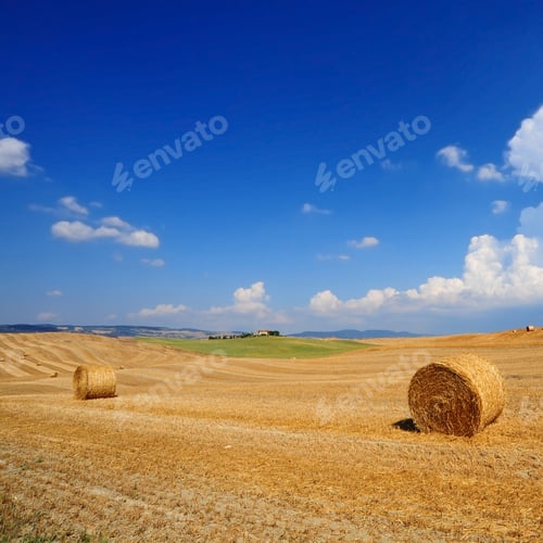 Preview: Tuscany Landscape With Many Hay Bales At Noon