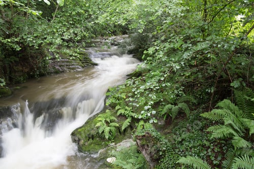 Preview: Valles Pasiegos Cantabria Landscape Wiht Stream Selaya Spain