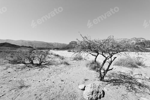 Preview: Loneliness And Emptiness Of The Rocky Hills Of The Negev Desert In Israel. Breathtaking Landscape