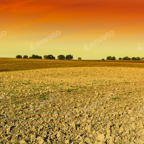 Preview: Fields In Spain After Harvesting At Sunrise. Breathtaking Landscape And Nature Of The Iberian