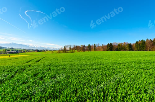 Preview: Small Swiss Town Surrounded By Meadows On The Background Of Snow-Capped Alps