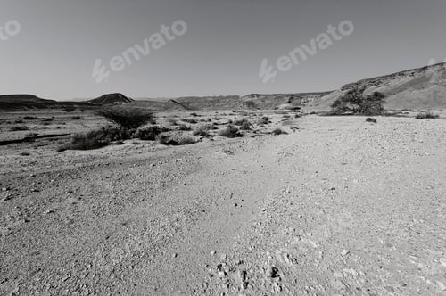 Preview: Dramatic Scene In Black And White Of The Rocky Hills Of The Negev Desert In Israel. Breathtaking