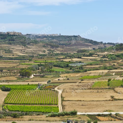 Preview: Rural Landscape With Fields And Vineyards On Maltese Island Gozo.
