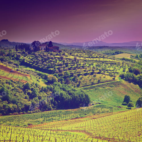 Preview: Hill Of Tuscany With Vineyard In The Chianti Region, Sunrise, Instagram Effect