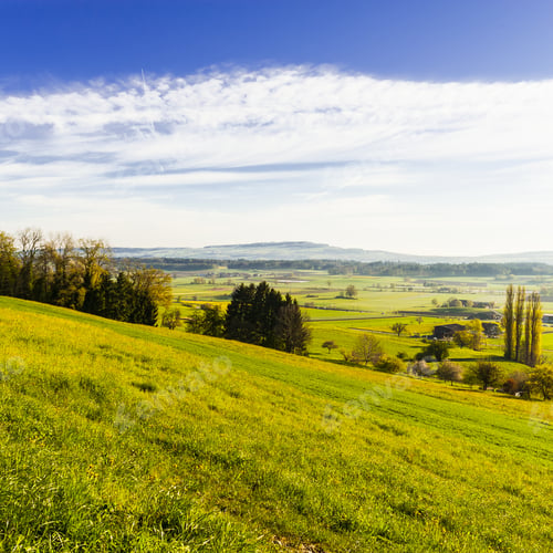 Preview: Swiss Landscape With Forests And Meadows Early In The Morning. Agriculture In Switzerland, Fields