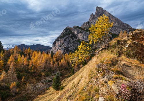 Preview: Colorful Autumn Alpine Dolomites Rocky Mountain Scene, Sudtirol, Italy. Peaceful View From