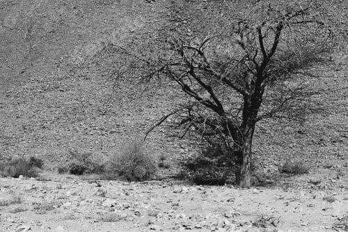 Preview: Loneliness And Emptiness Of The Rocky Hills Of The Negev Desert In Israel. Breathtaking Landscape