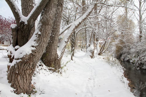 Preview: Winter Landscape Country Aragon Spain