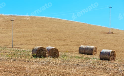 Preview: Beautiful Landscape Of Sicily Summer Countryside In Italy.